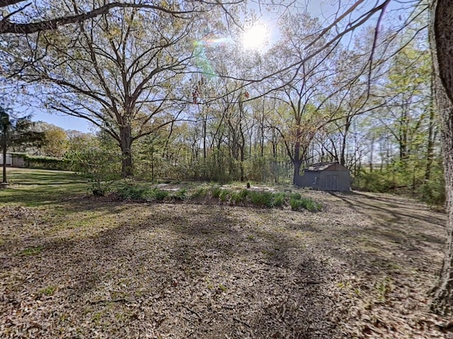 view of yard featuring an outdoor structure and a shed