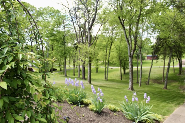 1411 Newmans Trl, Hendersonville, TN 37075 - view of property's community featuring a lawn
