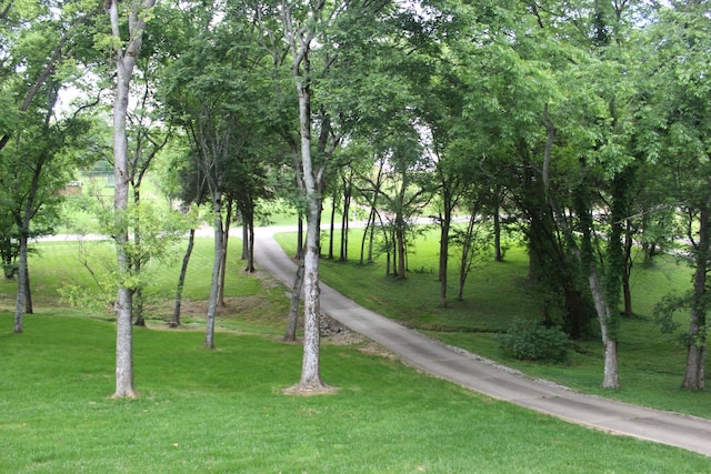 1411 Newmans Trl, Hendersonville, TN 37075 - view of community with a yard