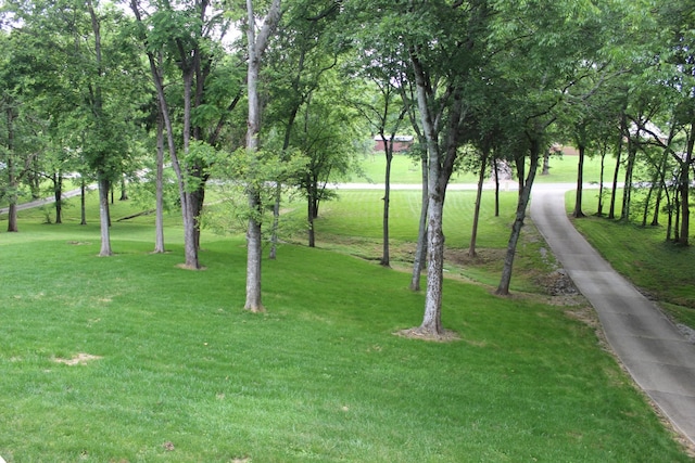 1411 Newmans Trl, Hendersonville, TN 37075 - view of home's community with a lawn