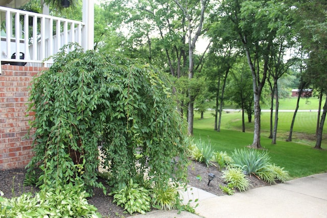 1411 Newmans Trl, Hendersonville, TN 37075 - view of grassy yard