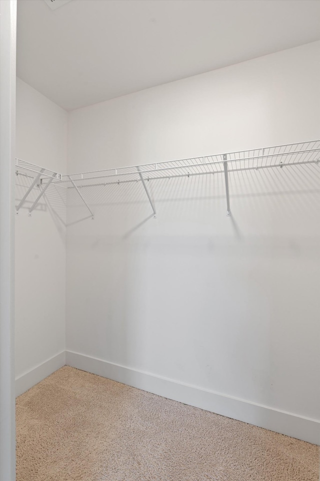 900 Easton Dr, Mount Juliet, TN 37122 - view of walk in closet