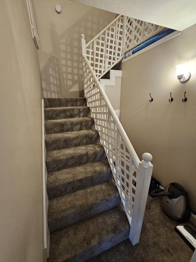 stairs with carpet floors