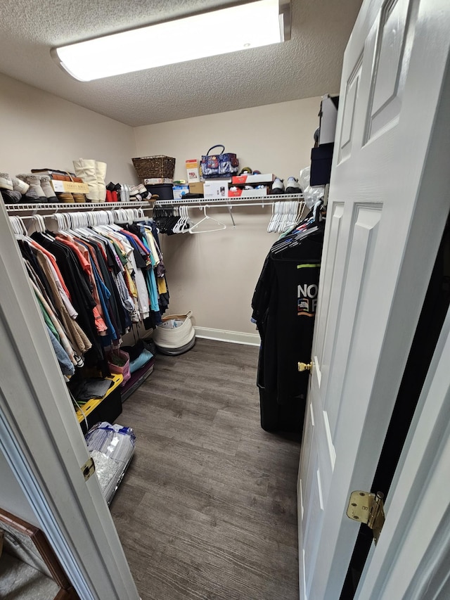 spacious closet featuring wood finished floors