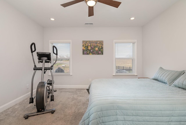 359 Mattieton Ln, Gallatin, TN 37066 - bedroom featuring carpet, visible vents, multiple windows, and baseboards