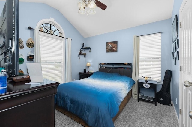 33 Duck Hawk Dr, Mcminnville, TN 37110 - photo 17