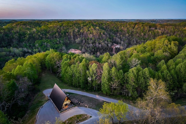 825 Hunters Landing Ln, Smithville, TN 37166 - drone / aerial view with a forest view