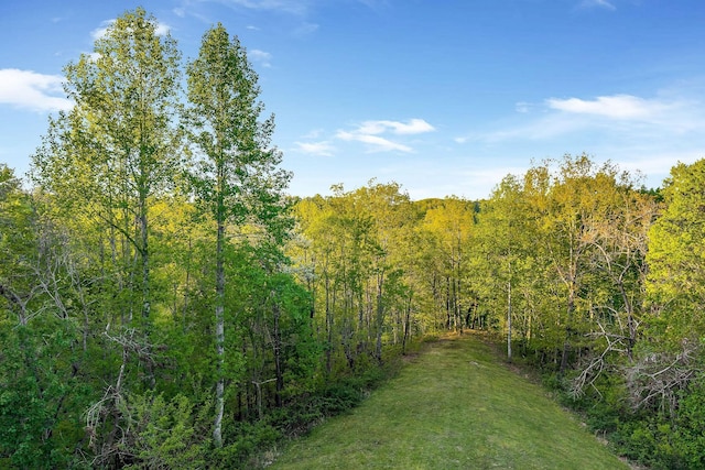 825 Hunters Landing Ln, Smithville, TN 37166 - view of nature featuring a forest view