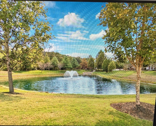 1007 Belamy Ln, Franklin, TN 37064 - photo 31