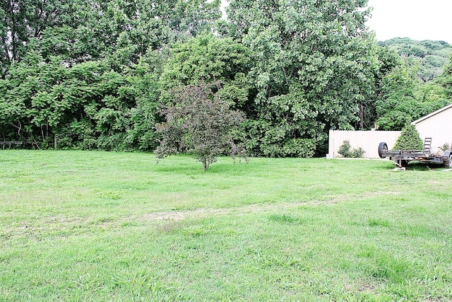4023 Whites Creek Pike, Whites Creek, TN 37189 - view of green lawn