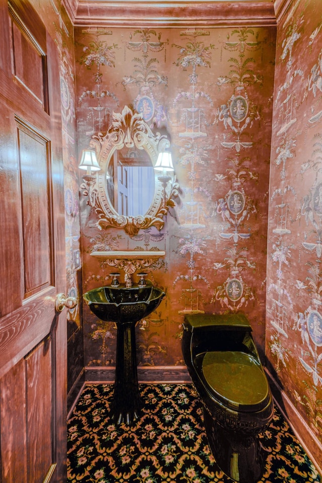 107 Geers Ct, Lebanon, TN 37087 - half bath with a sink, toilet, and crown molding