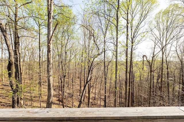 view of landscape with a wooded view