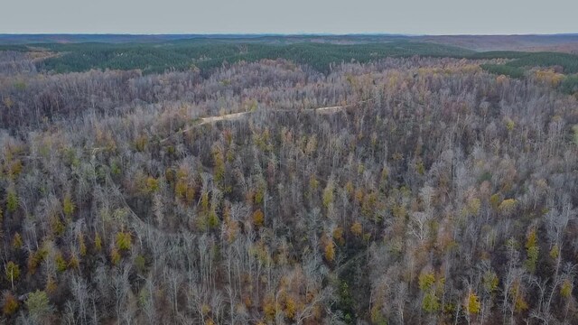 0 Lick Creek Rd, Linden, TN 37096 - photo 10