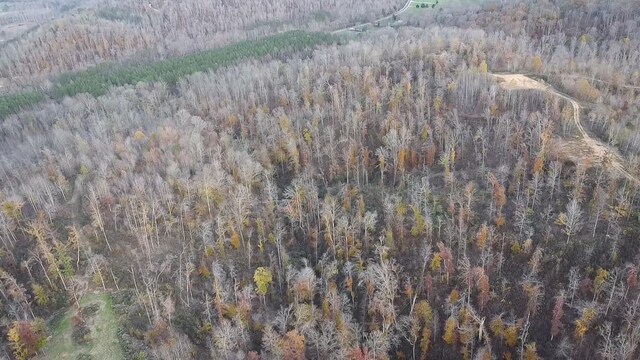 0 Lick Creek Rd, Linden, TN 37096 - photo 9