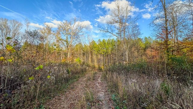 0 Lick Creek Rd, Linden, TN 37096 - photo 3