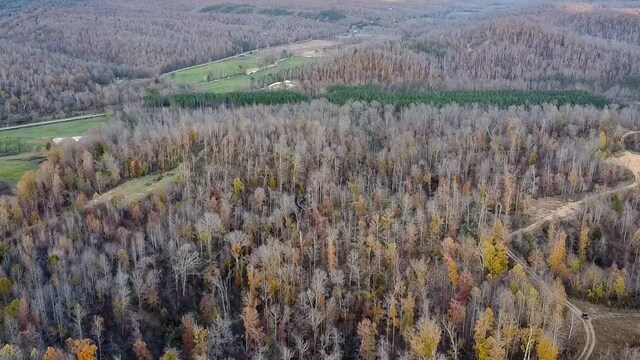 0 Lick Creek Rd, Linden, TN 37096 - photo 6