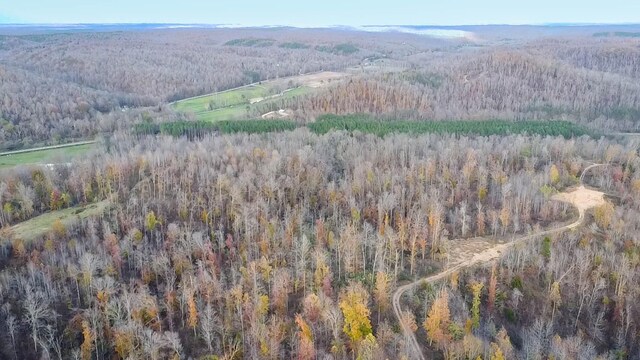 0 Lick Creek Rd, Linden, TN 37096 - photo 21