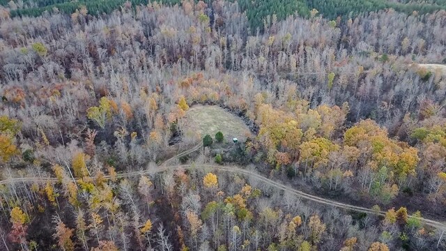 0 Lick Creek Rd, Linden, TN 37096 - photo 8