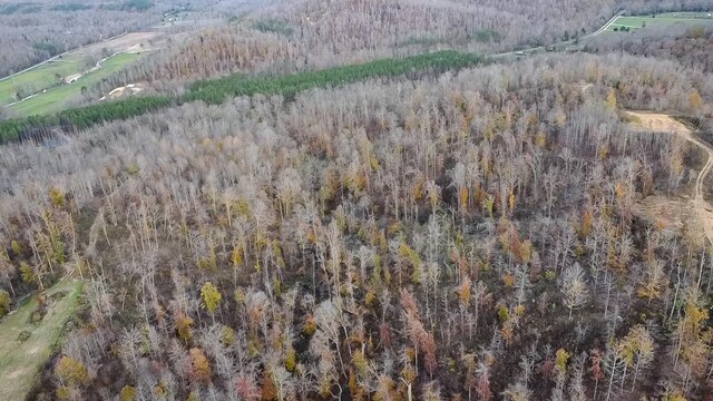 0 Lick Creek Rd, Linden, TN 37096 - photo 7