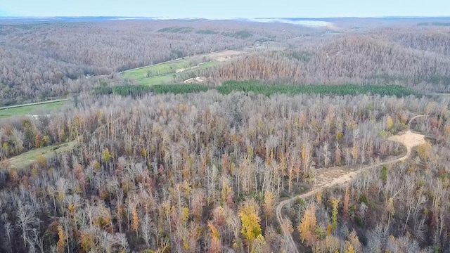 0 Lick Creek Rd, Linden, TN 37096 - photo 5