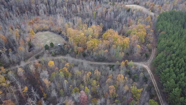 0 Lick Creek Rd, Linden, TN 37096 - photo 11