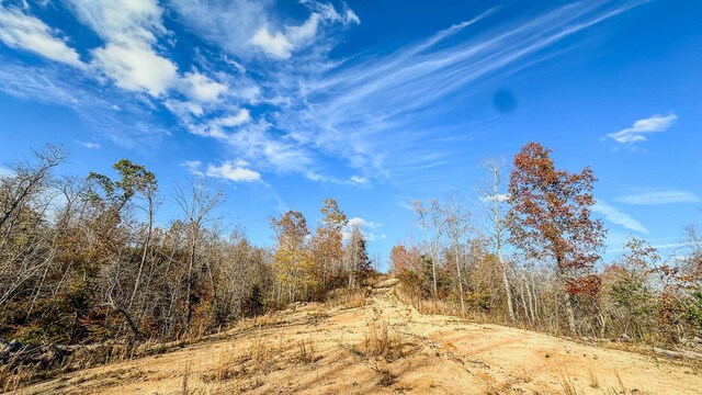 0 Lick Creek Rd, Linden, TN 37096 - photo 14