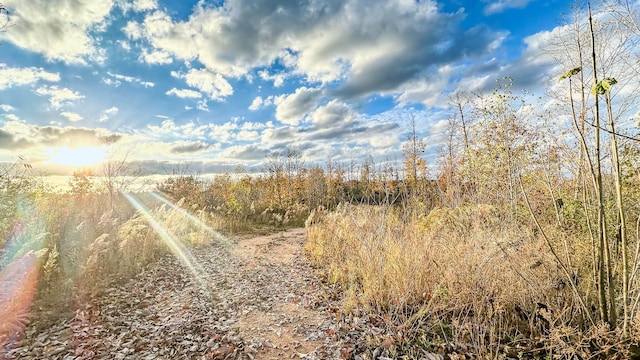 0 Lick Creek Rd, Linden, TN 37096 - photo 17
