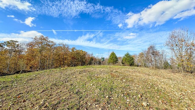 0 Lick Creek Rd, Linden, TN 37096 - photo 2