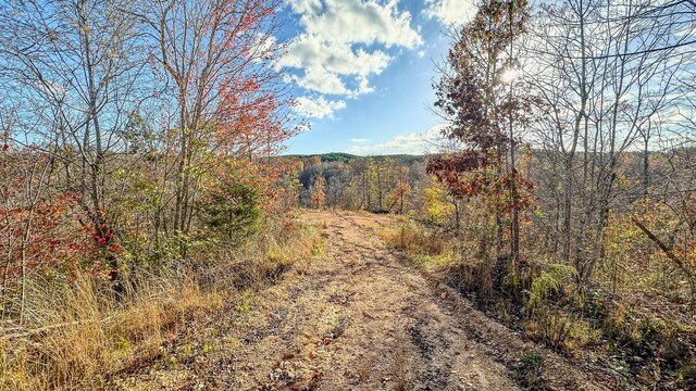 0 Lick Creek Rd, Linden, TN 37096 - photo 13