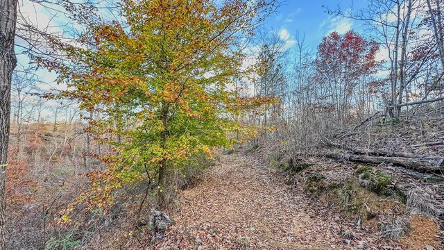 0 Lick Creek Rd, Linden, TN 37096 - photo 19
