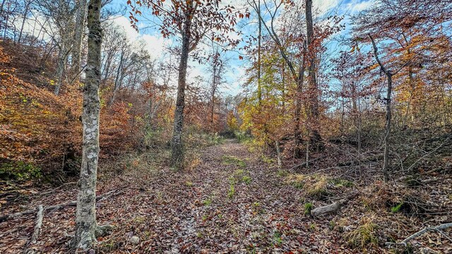0 Lick Creek Rd, Linden, TN 37096 - photo 15
