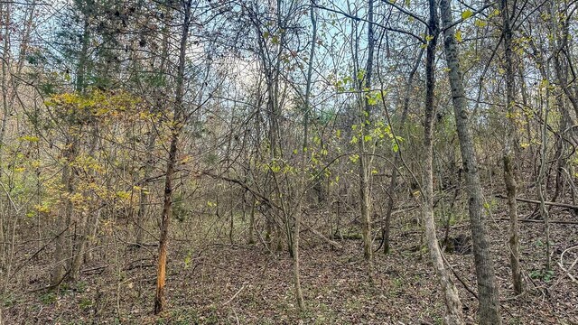 0 Lick Creek Rd, Linden, TN 37096 - photo 4