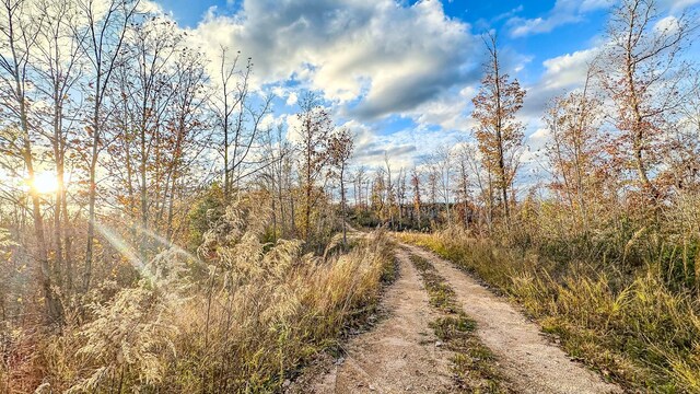 0 Lick Creek Rd, Linden, TN 37096 - photo 18