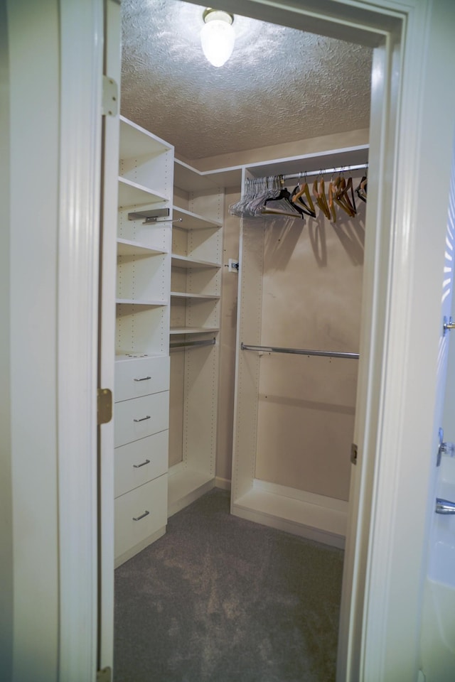 spacious closet featuring dark carpet