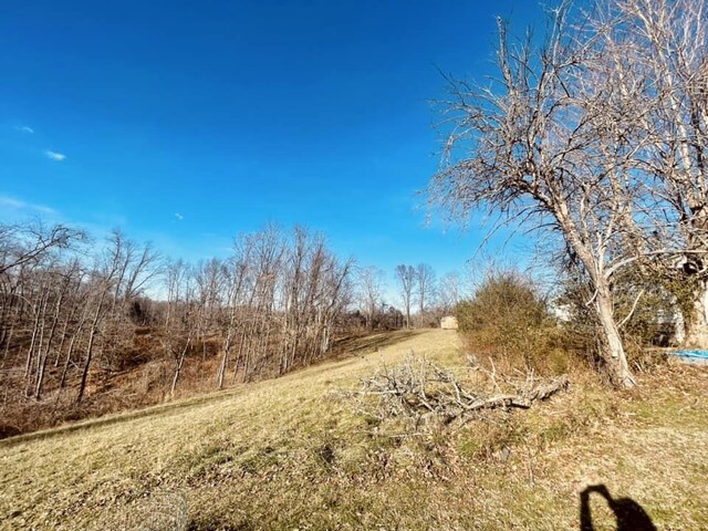 view of local wilderness