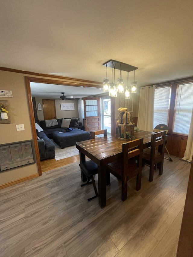 dining room featuring light wood finished floors