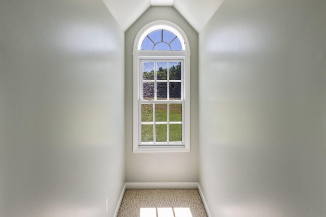 details featuring carpet and baseboards