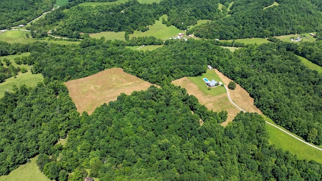bird's eye view with a forest view
