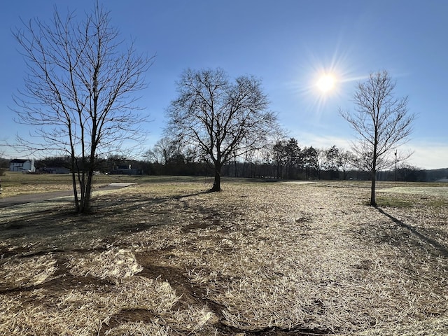 19 Faith Ln, Lebanon, TN 37087 - view of yard
