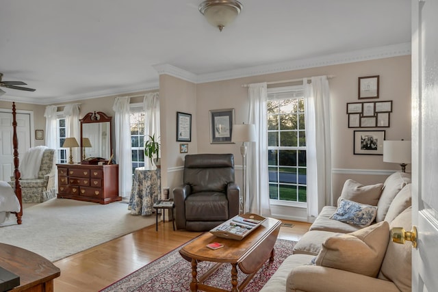 living area featuring ceiling fan, ornamental molding, and wood finished floors