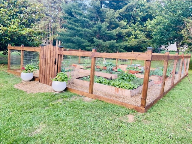 view of yard featuring a vegetable garden