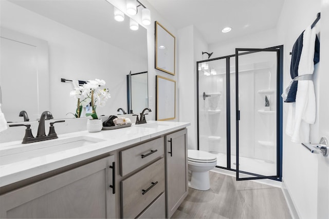 bathroom with a shower stall, toilet, wood finished floors, a sink, and double vanity