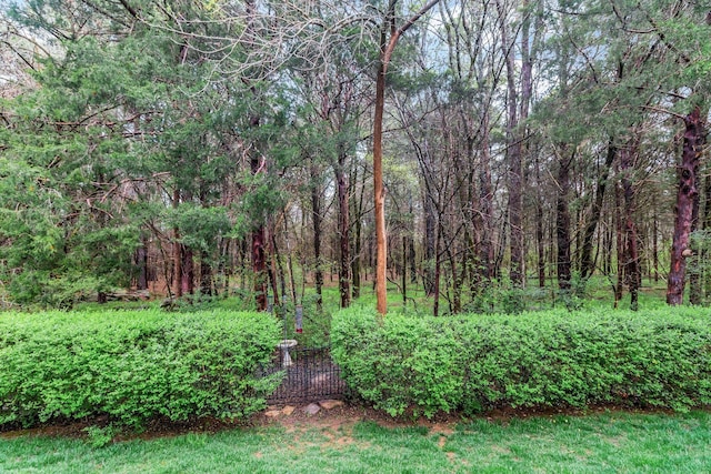 view of yard with a forest view
