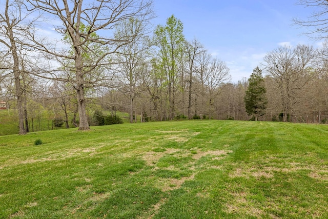 620 Williamson County Line Rd, Fairview, TN 37062 - view of yard featuring a wooded view
