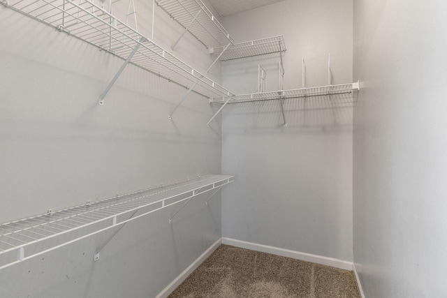 1007 Whitley Pl, Hendersonville, TN 37075 - spacious closet with carpet