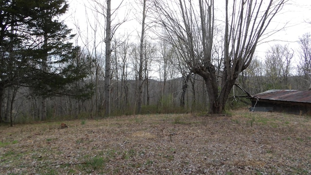 view of local wilderness featuring a forest view