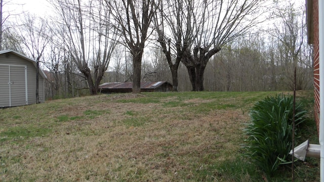 view of yard with an outbuilding and a shed