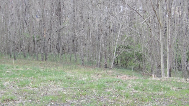 view of local wilderness