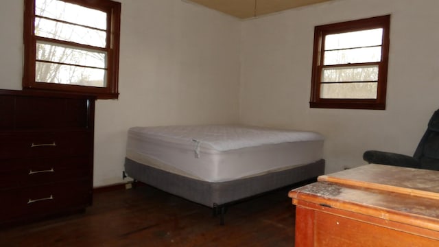 bedroom featuring multiple windows and dark wood-style floors