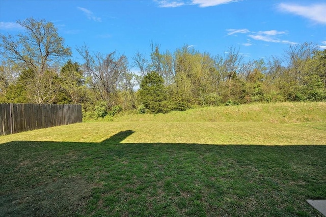 273 Owl Cir, Lebanon, TN 37087 - photo 30